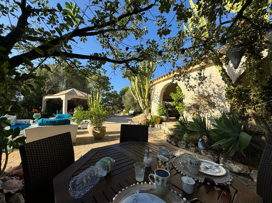 B&B Villa Desideria主图