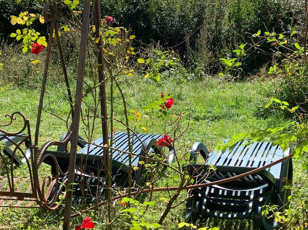 Vitalhotel König am Park主图