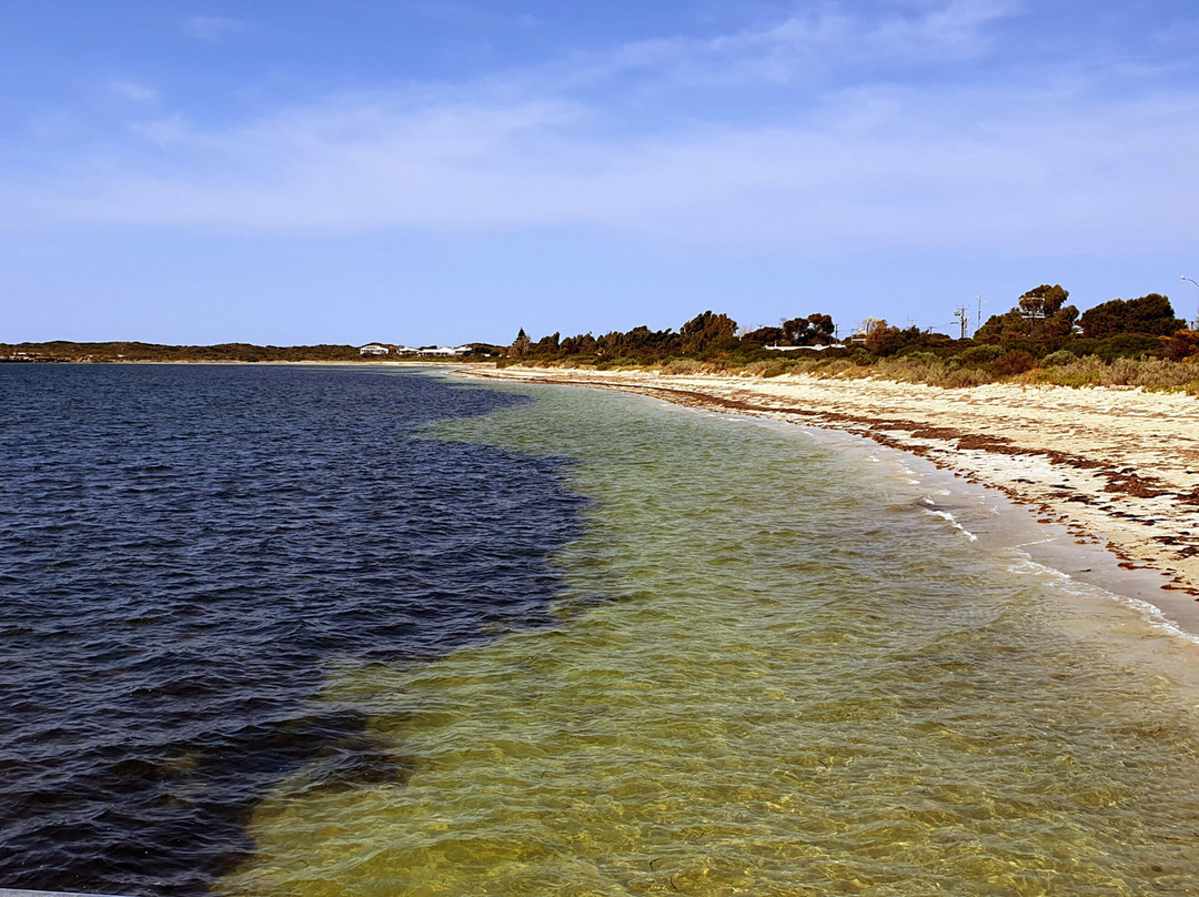 Marion Bay Jetty景点图片