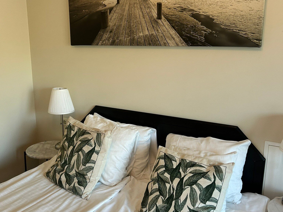 Vejby Strand Hotel & Vejby Vardshus主图
