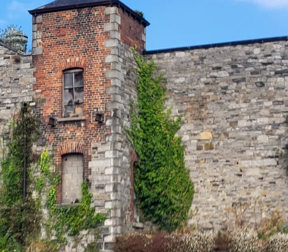 City Kayaking-都柏林必去景点