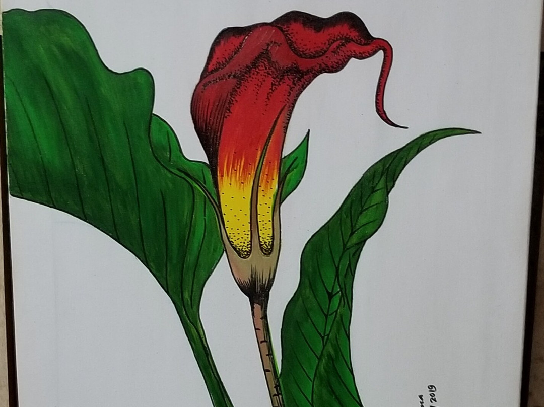 Bentota Agri & Spice Products-Aluthgama必去景点