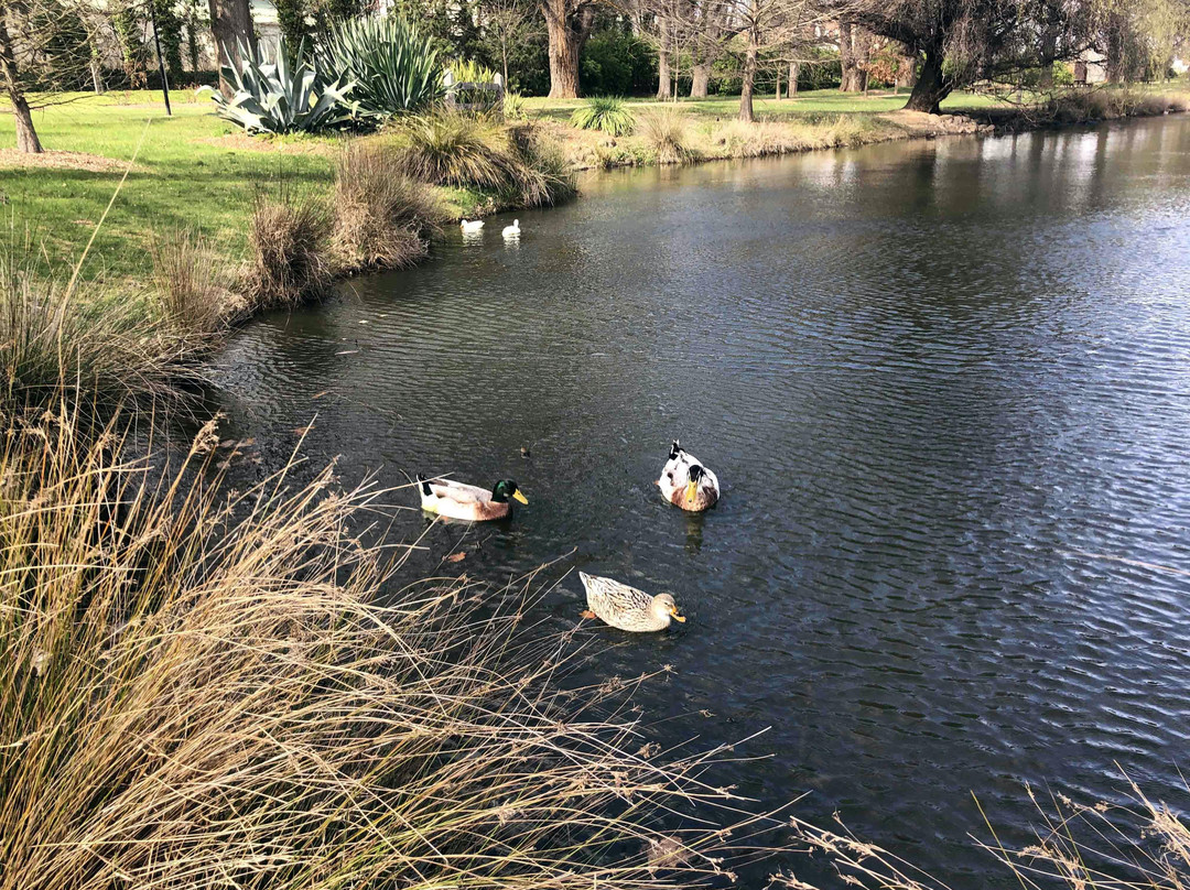 Lake Joanna, Castlemaine-Castlemaine必去景点