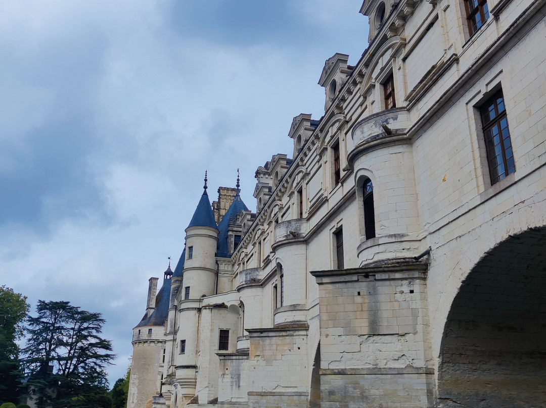La Belandre Chenonceaux en Bateau景点图片
