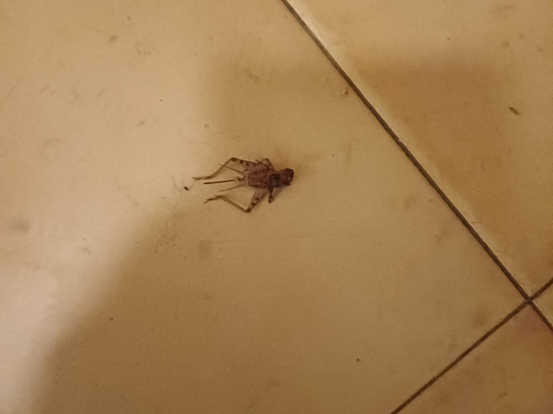 Centro Vacanze Pra delle Torri主图
