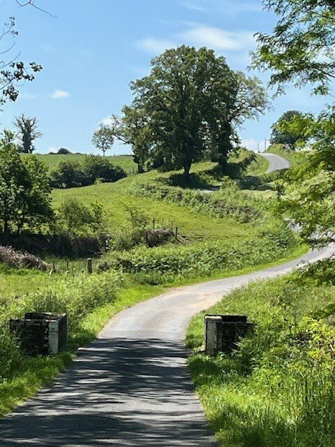 Chambres d'Hotes La Grange de Bronzeau主图