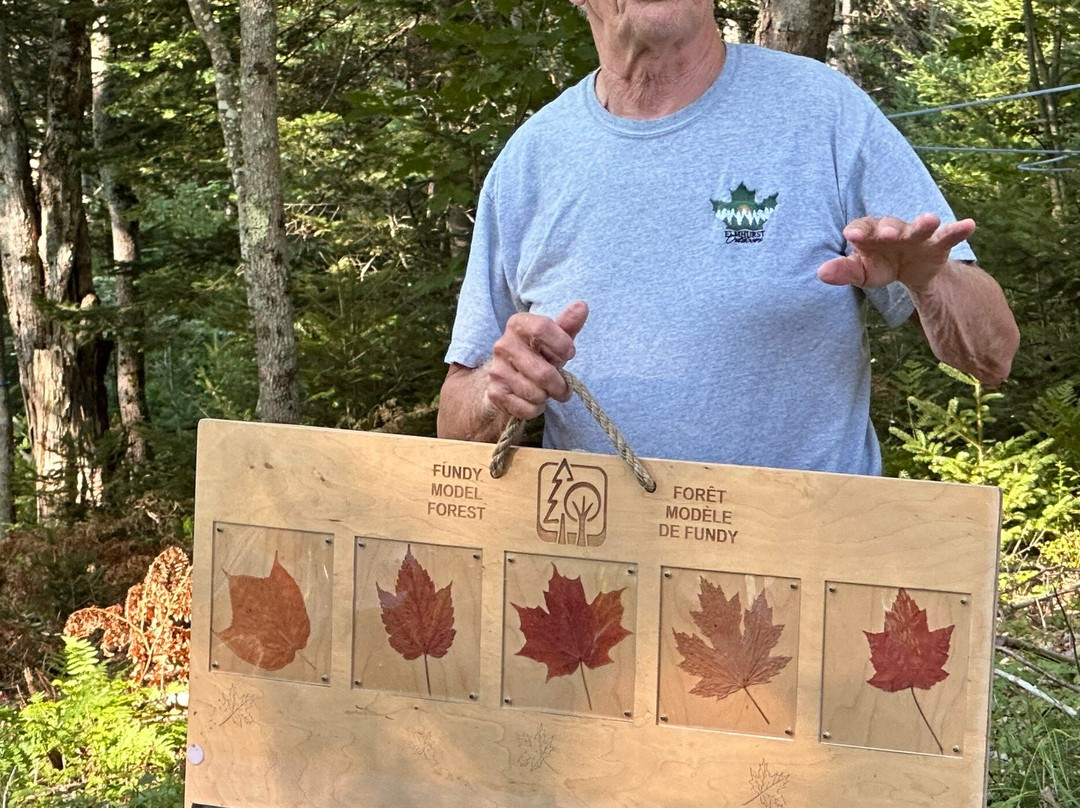 Elmhurst Outdoors-Erbs Cove必去景点