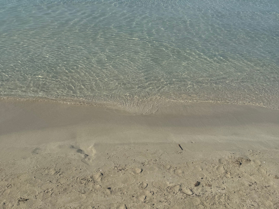 Lido Il Molo景点图片