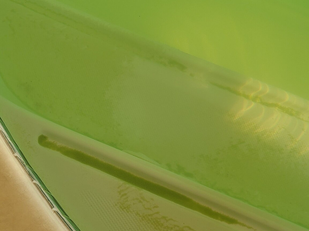 Best Western El-Quartelejo Inn & Suites主图