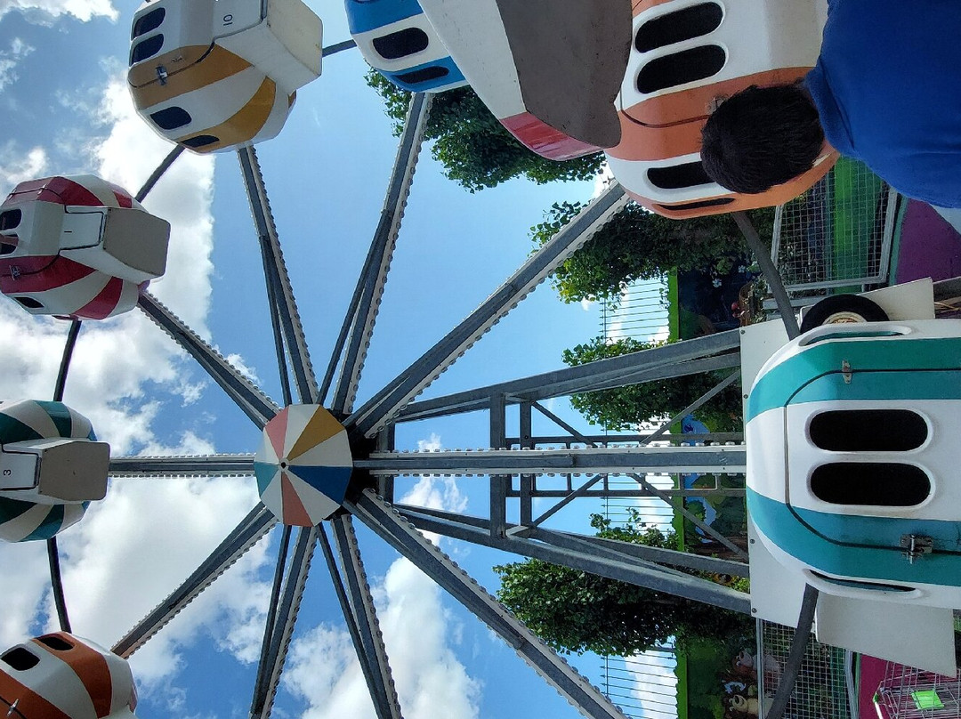 Joyland景点图片