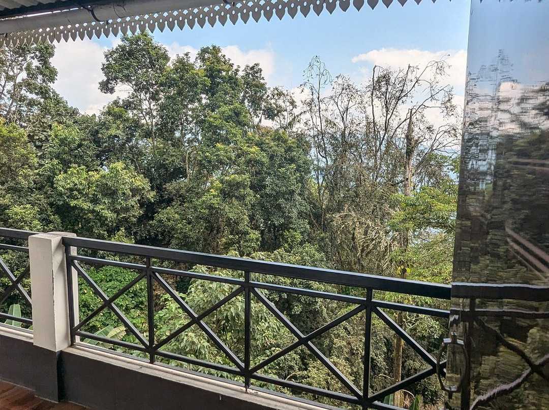 Mystic Orchid Retreat主图