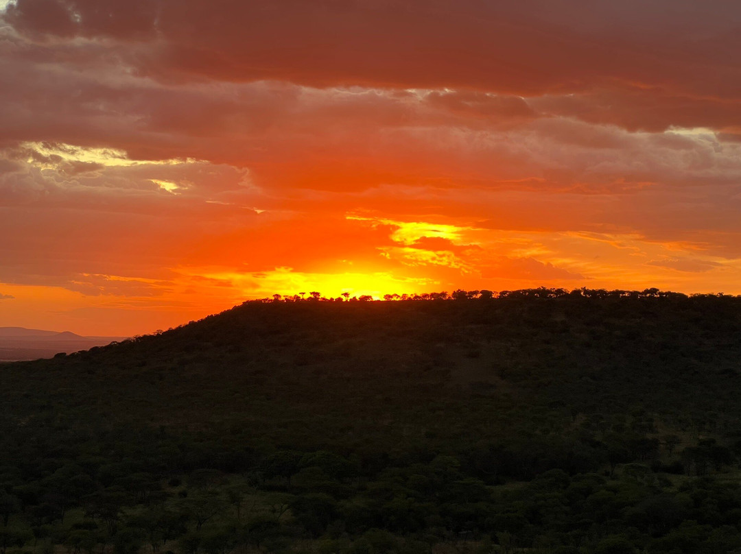 Inquisitive Africa (Safari & Adventure)-莫西必去景点