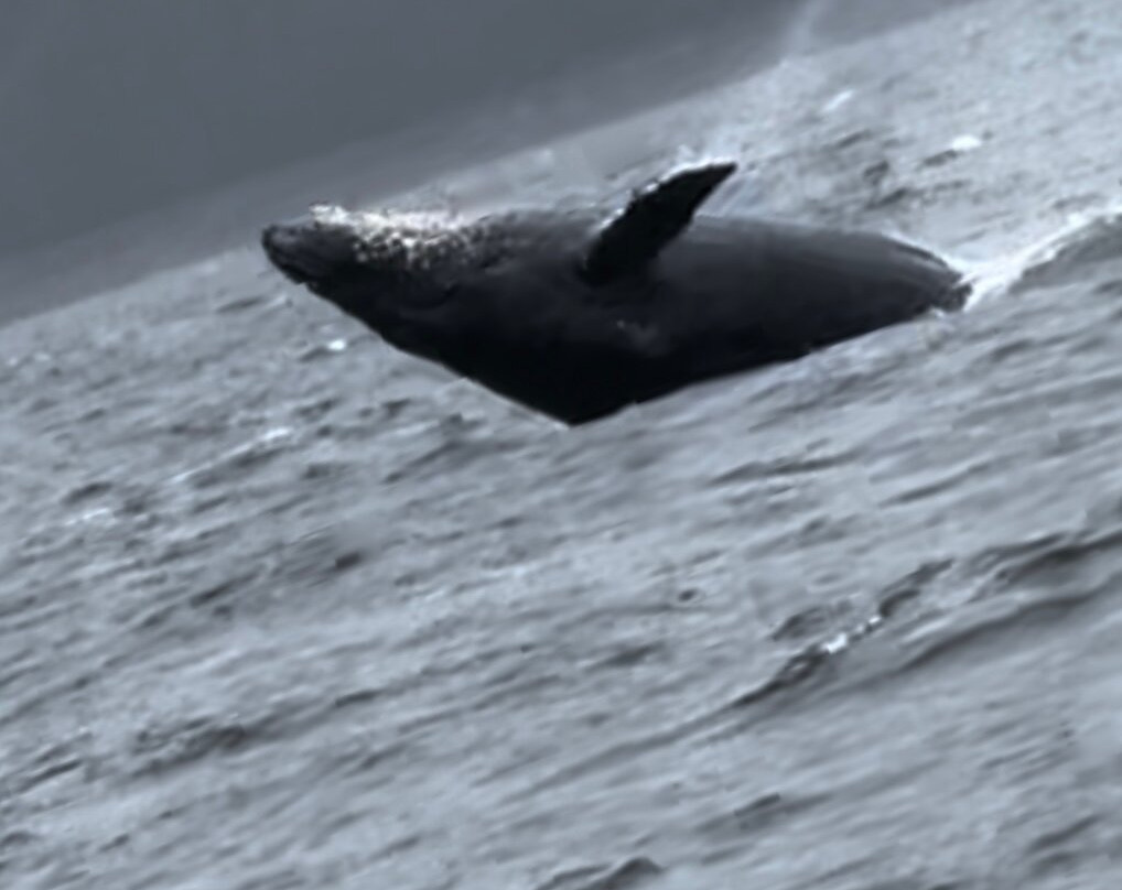 Juneau Lighthouse Tours-朱诺必去景点