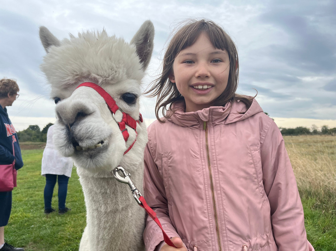 Abbotts View Alpacas景点图片