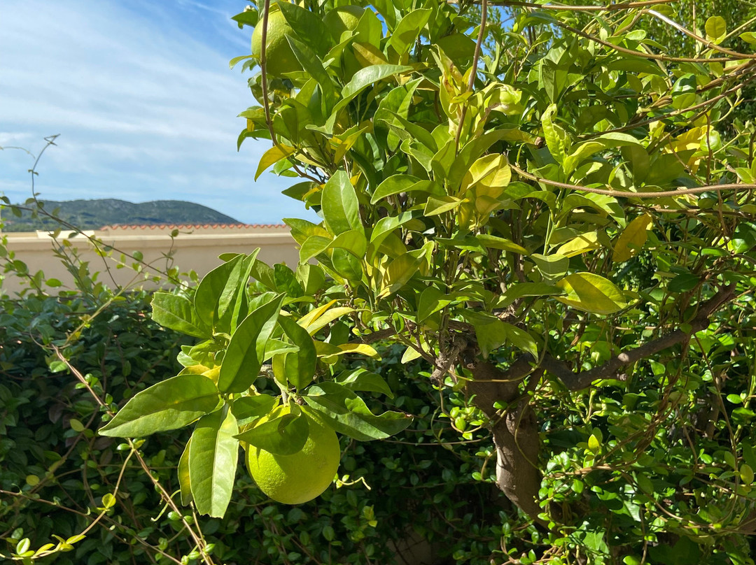 杜布罗弗尼克日光花园丽笙度假酒店及Spa主图
