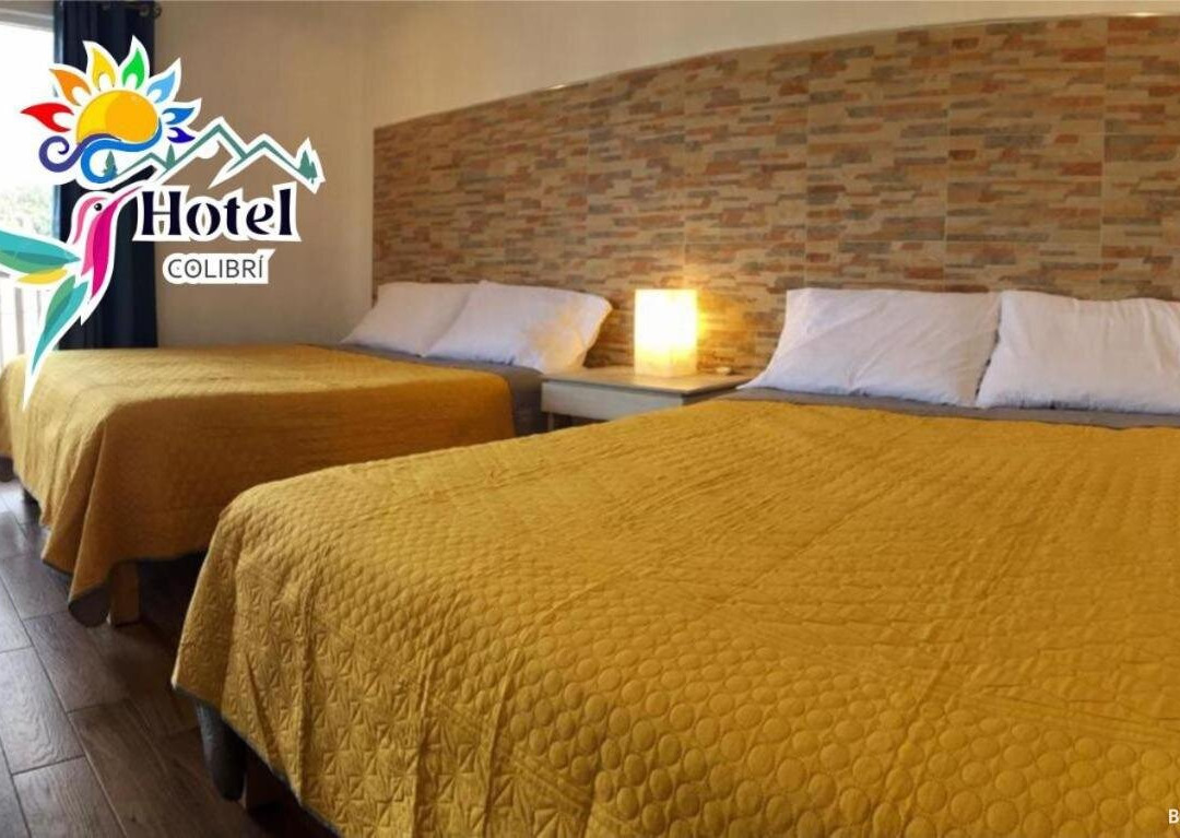 Hotel Colibri主图