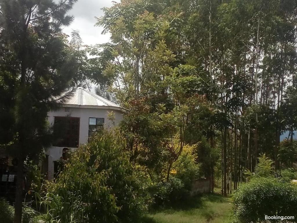 The Bella Lodge