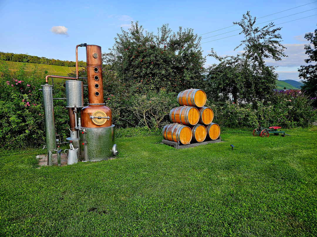 Weingut Raevenhof景点图片