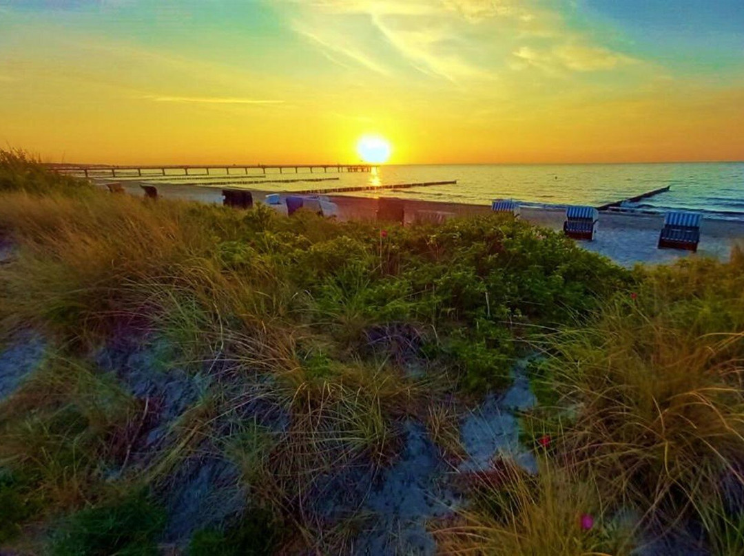 Ostsee Hotel-pension An Der Lindenallee主图