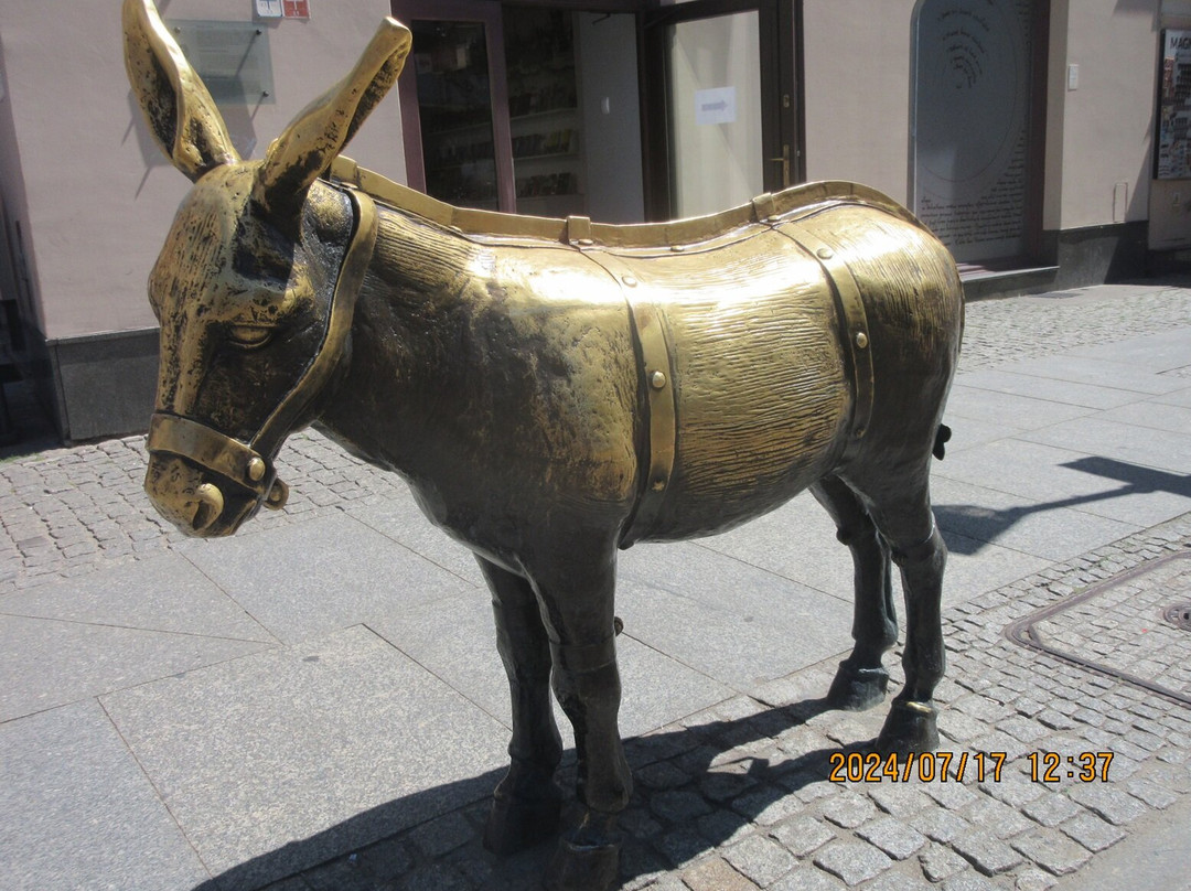 Monument to Donkey景点图片