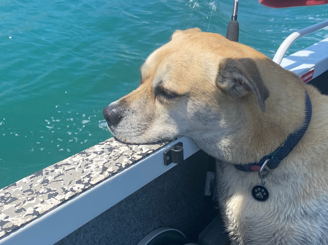 Salty Life 1770-1770镇必去景点