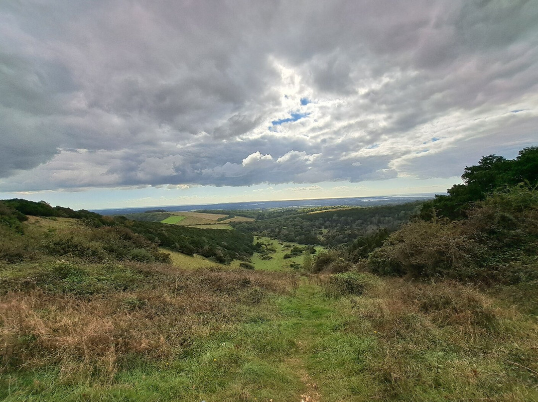 South Downs National Park景点图片