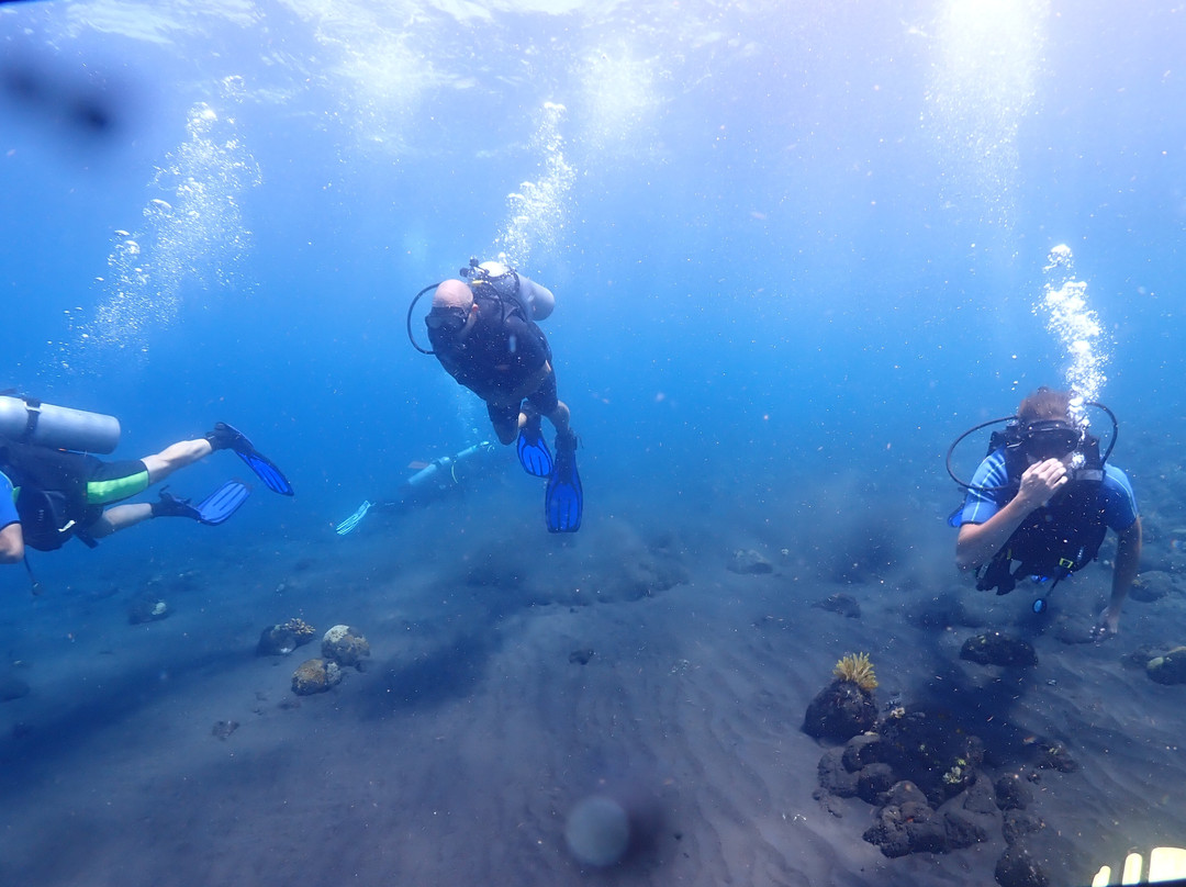 Bali Luxury Divers BLD-艾湄湾必去景点