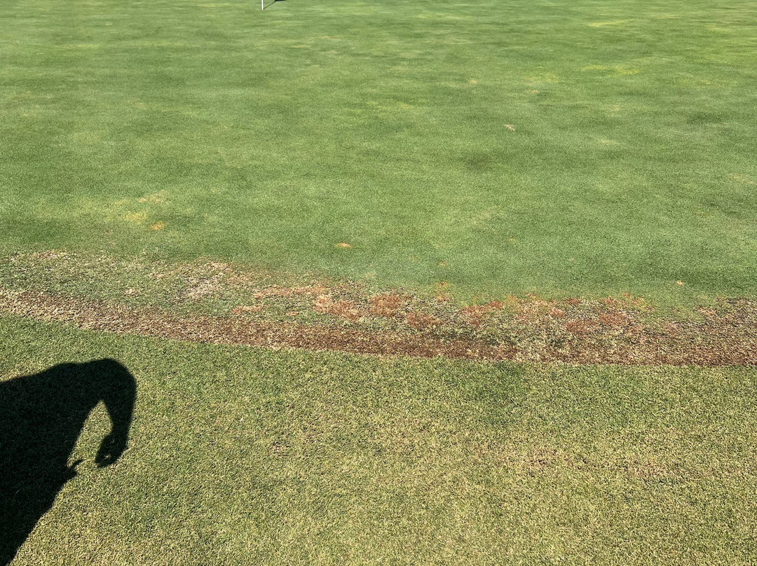 Cabo San Lucas Country Club-卡波圣卢卡斯必去景点