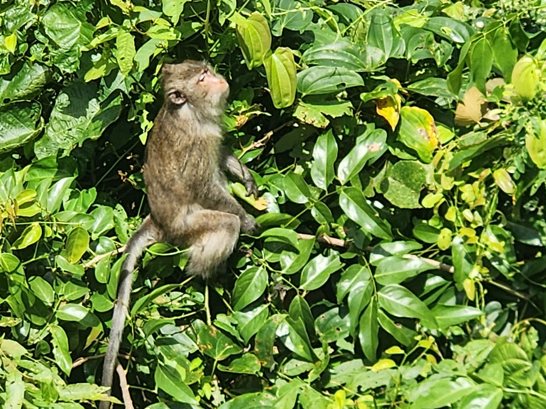 Kai Bae Viewpoint-象岛必去景点