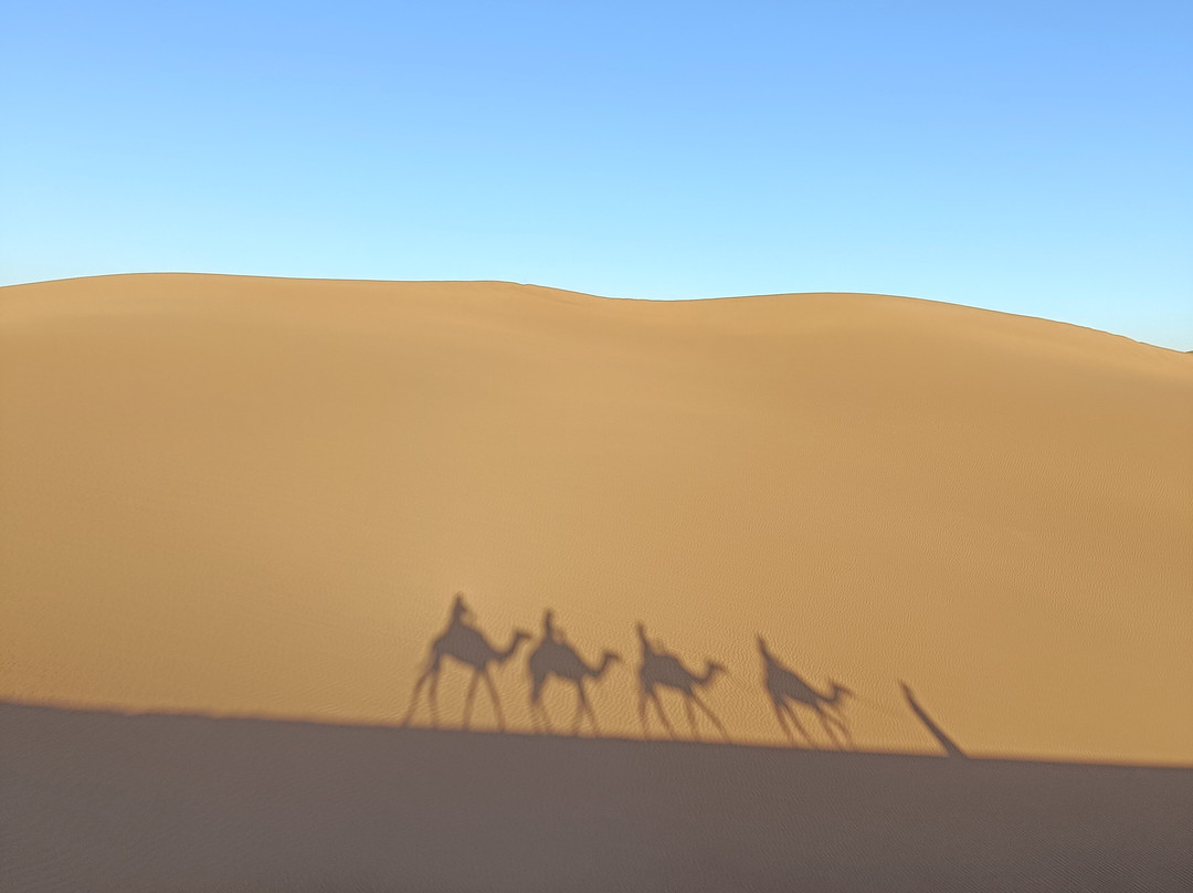 Sahara Unlimited Morocco Tours-马拉喀什必去景点