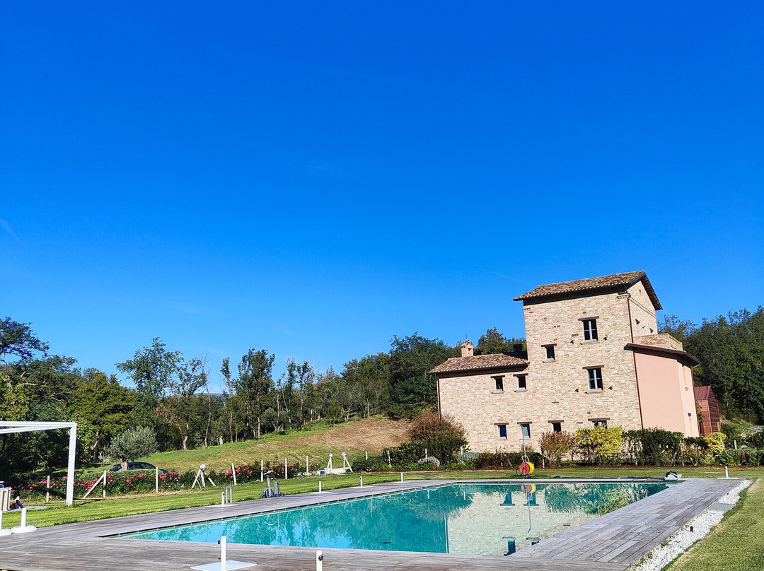 Agriturismo Colle Casini Cortesi主图