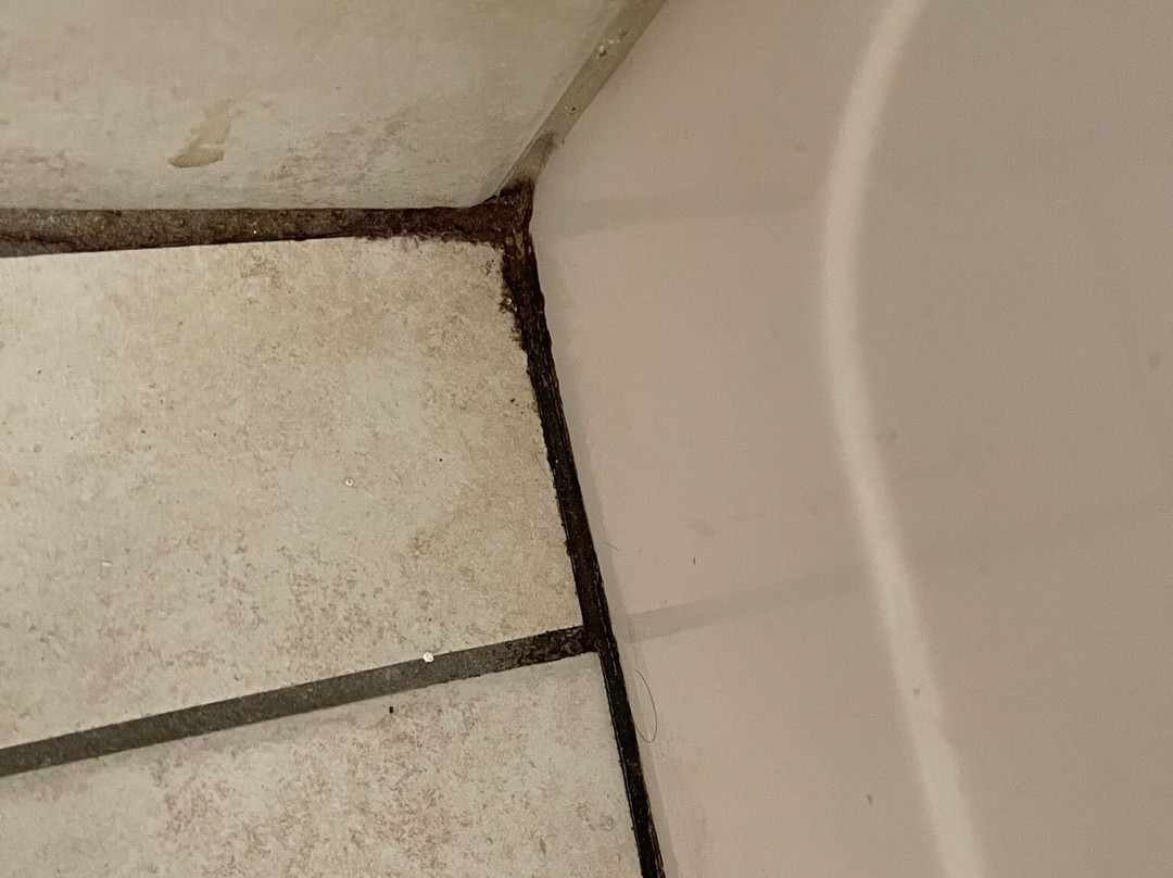 Deadwood Gulch Resort, Trademark Collection by Wyndham主图