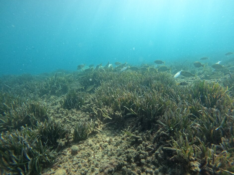 Dive Easy-Acharavi必去景点