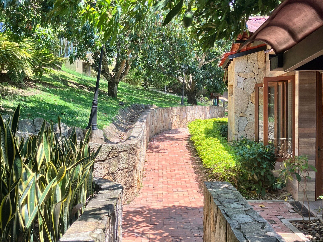 Anapoima Natura主图