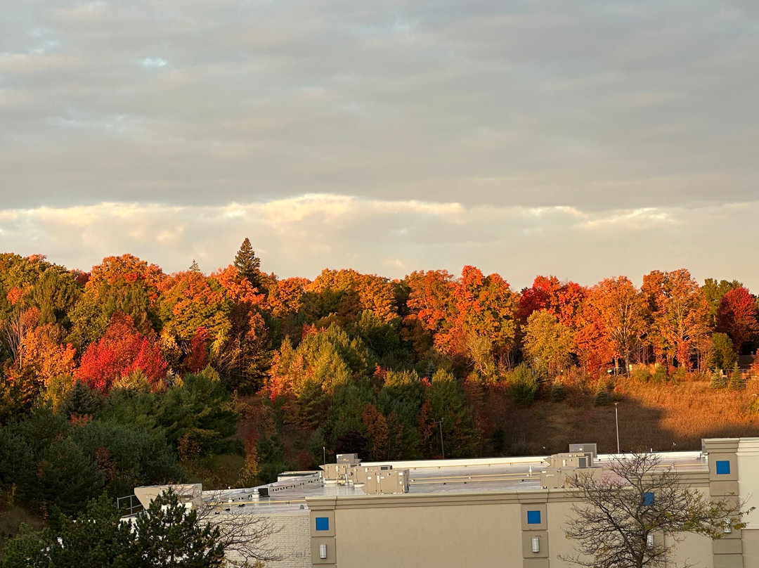 Apple Tree Inn, SureStay Collection by Best Western主图