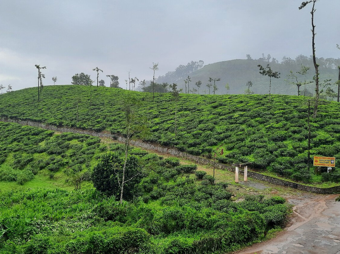 Nallamudi Viewpoint-Valparai必去景点