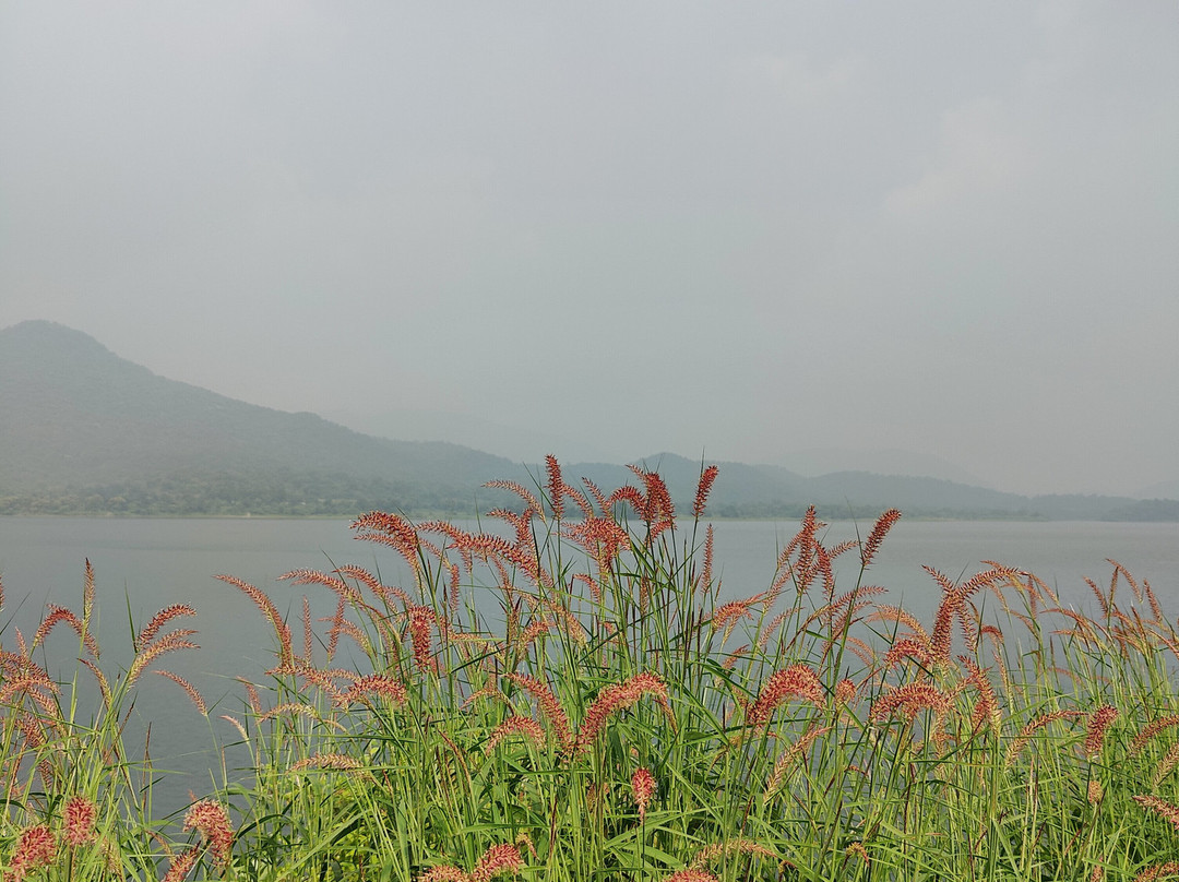 Dimna Lake景点图片