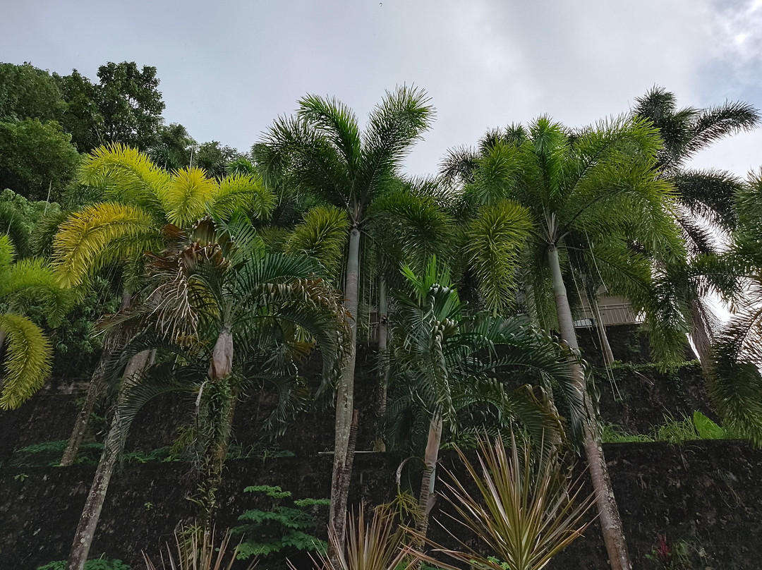 Memory Karon Resort主图