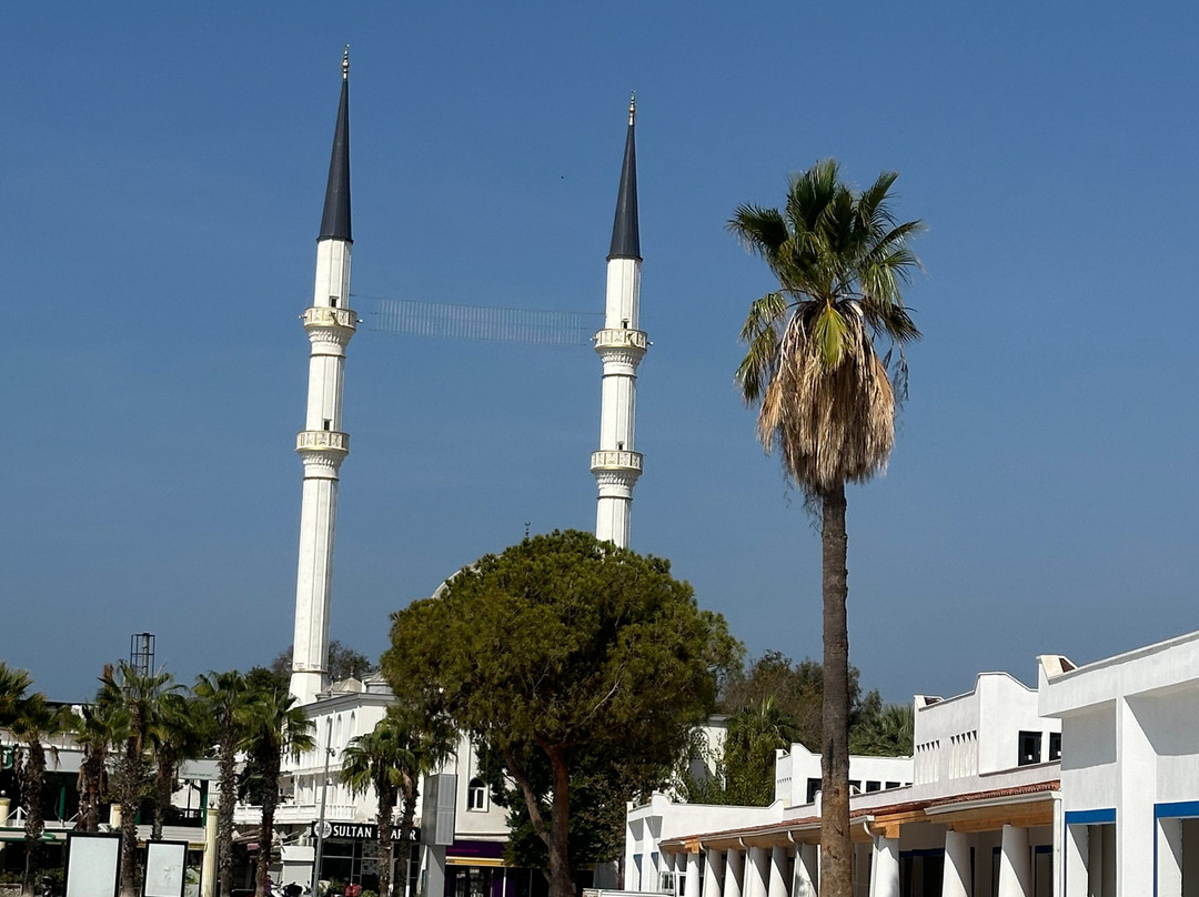 Turgutreis Market景点图片