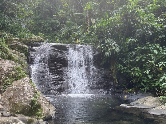 Sofrito Tours-波多黎各必去景点
