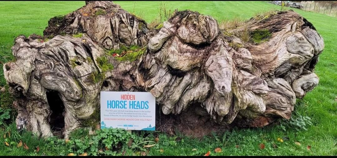 Moel Famau Donkeys景点图片