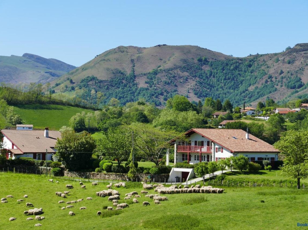 BaskoParadis I Eco-Gites I Calme I Vue I Ânes I Jardin I Montagne I Nature