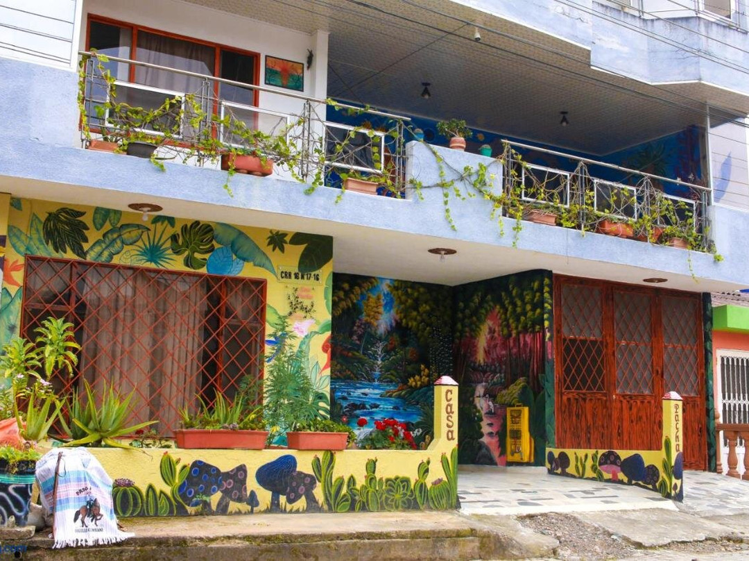 Casa Pacha