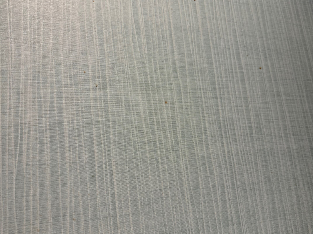 纽约法拉盛/拉瓜地亚机场凯悦酒店主图