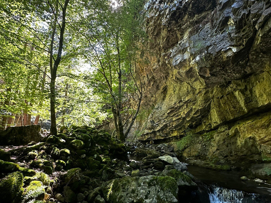 Parque Natural Sierra Cebollera景点图片