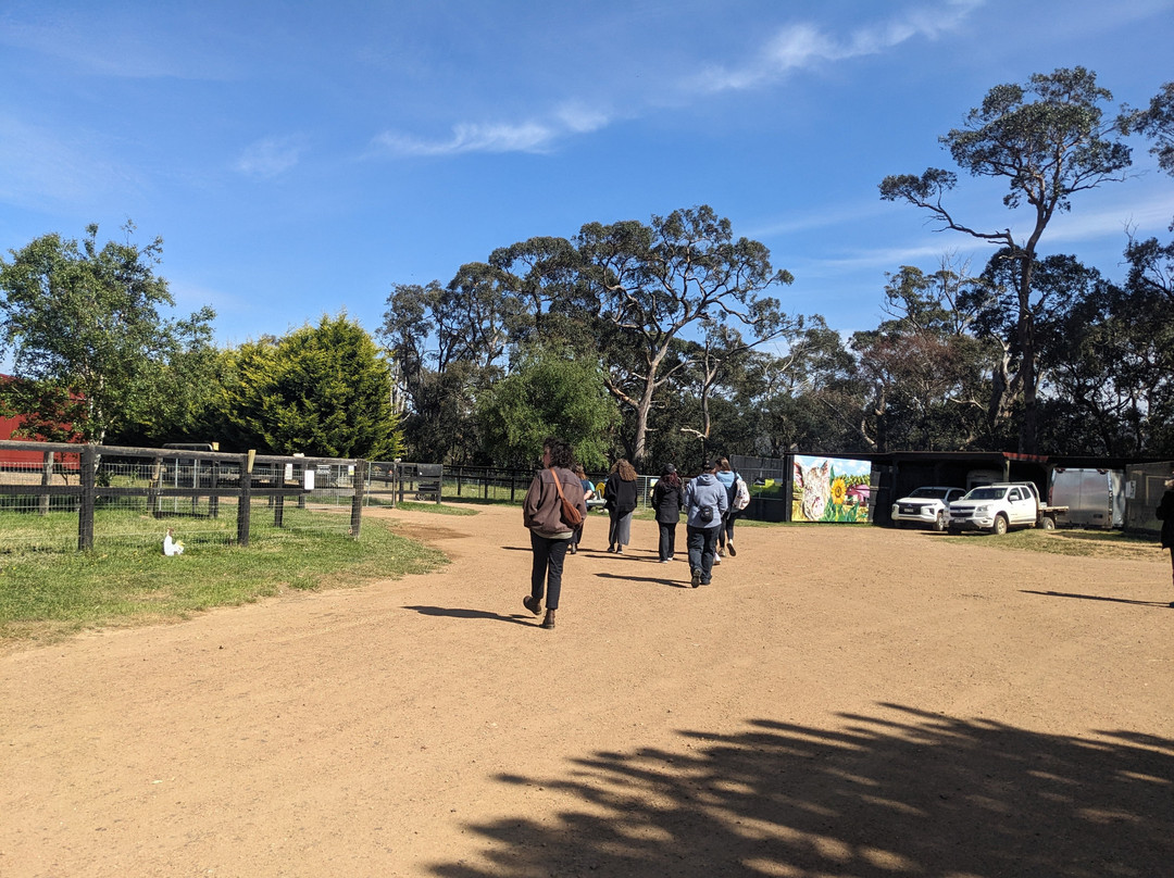 Edgar's Mission-Lancefield必去景点