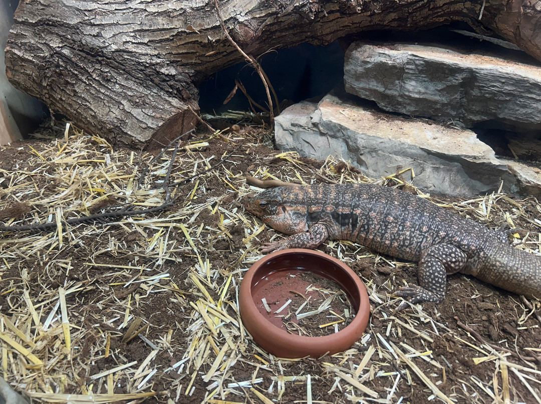 Tropicarium Park景点图片
