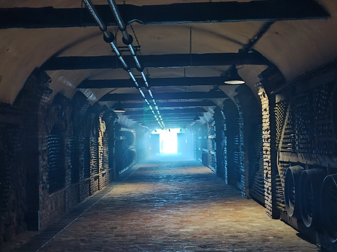 Kvareli Wine Cave-Kvareli必去景点