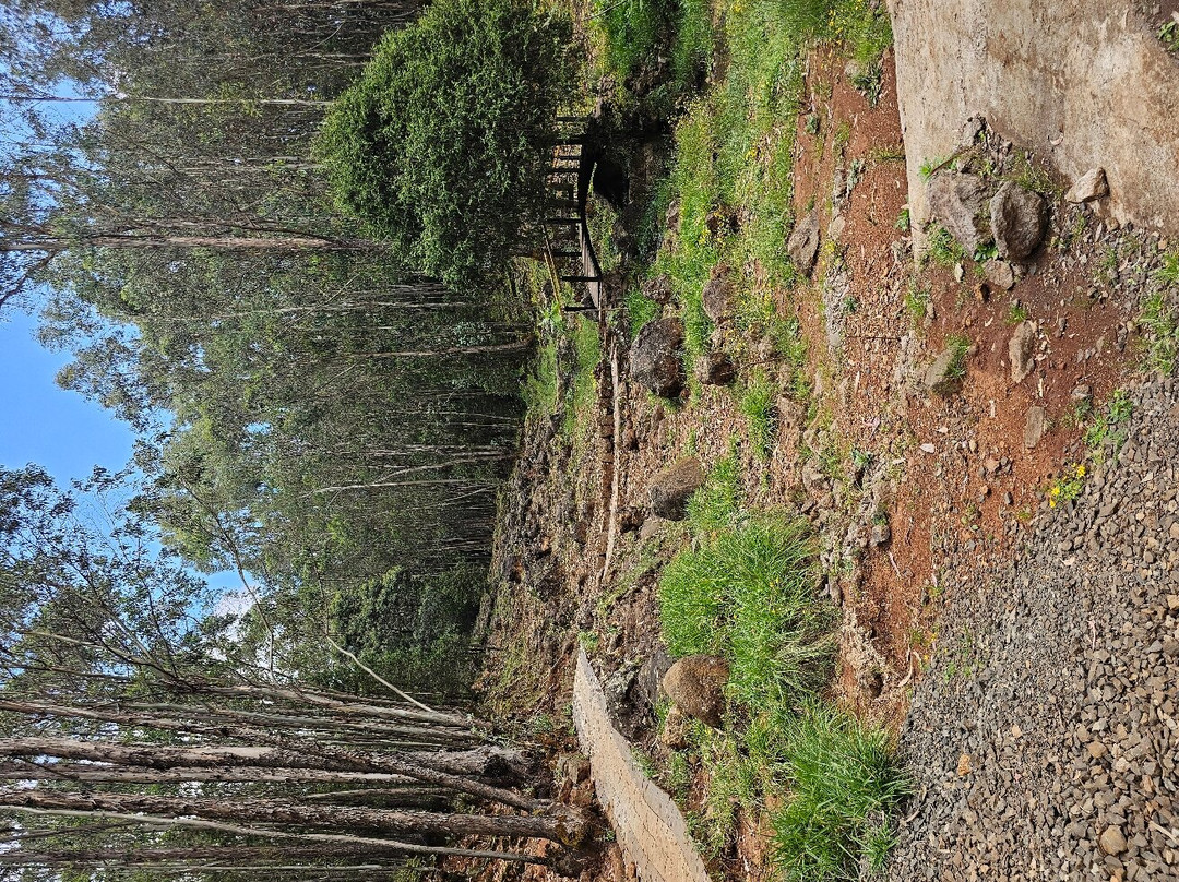 Mount Entoto景点图片