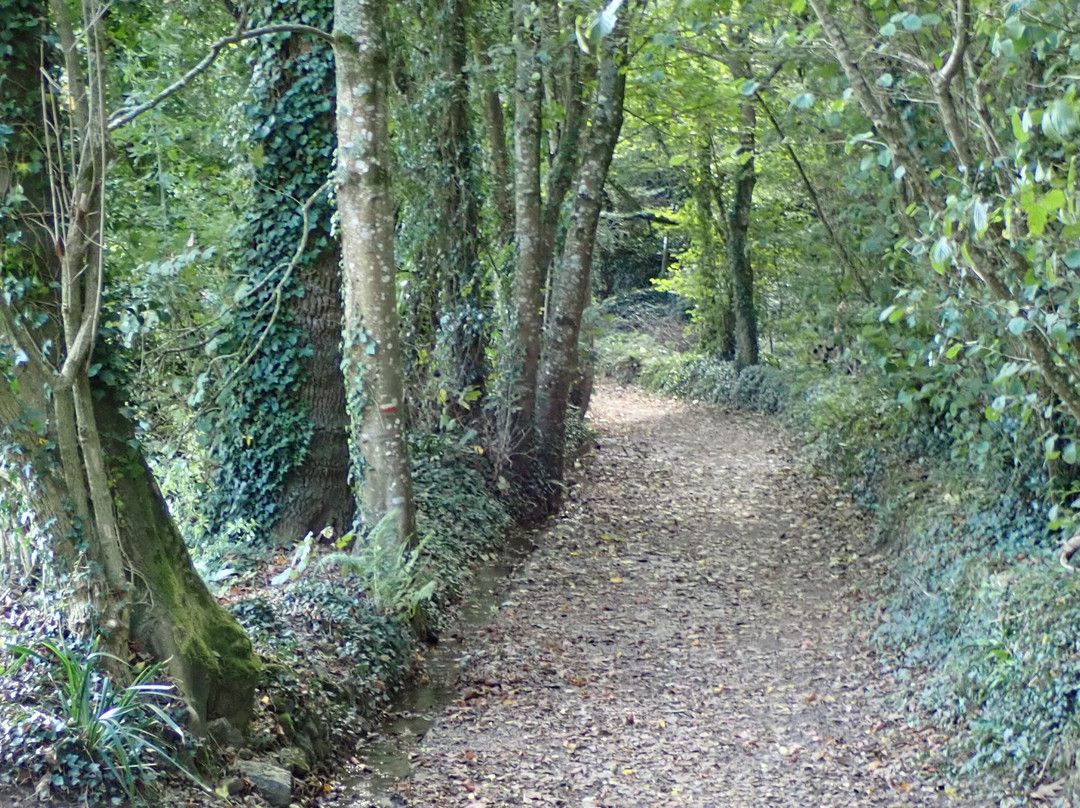 Sentier De Plomarc'h-Douarnenez必去景点